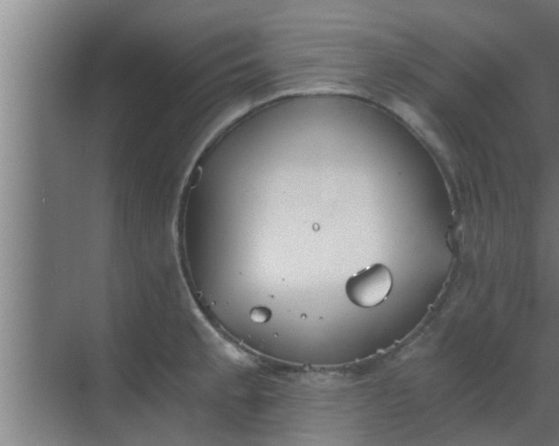 X0000069801189200605261715