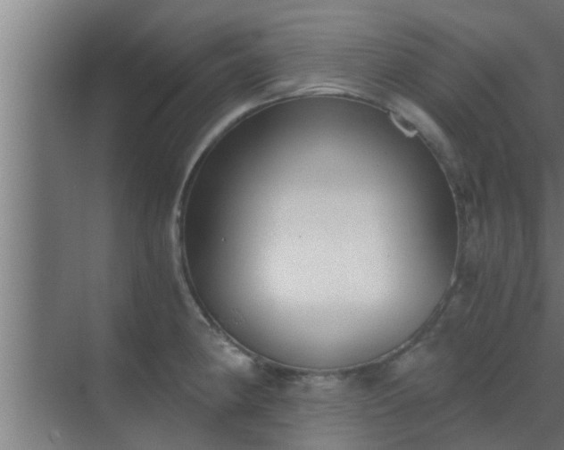 X0000069801190200605261715