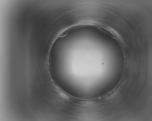 X0000069801192200605261714