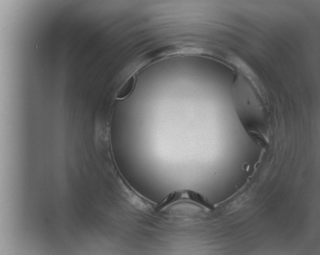 X0000069801193200605261714