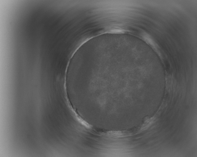 X0000069801194200605261714