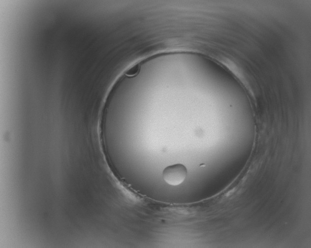 X0000069801197200605261714