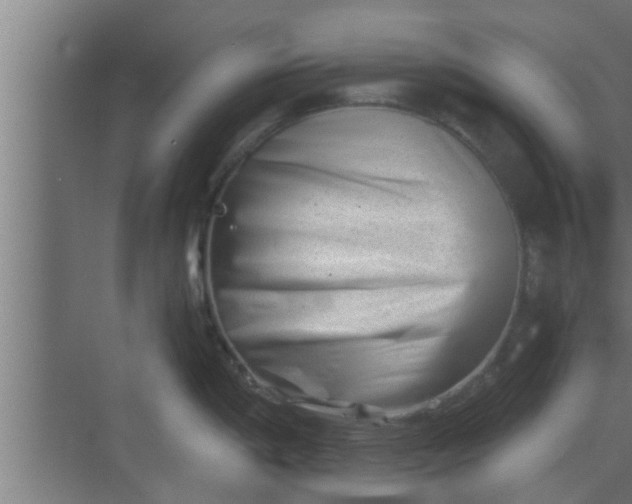 X0000069801198200605261714