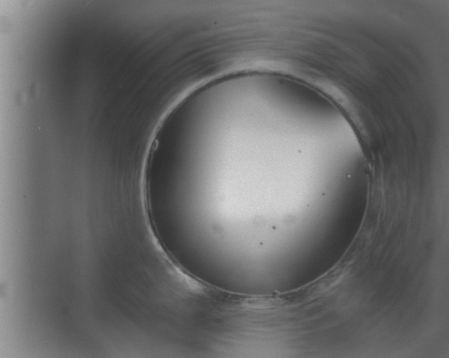 X0000069801199200605261714