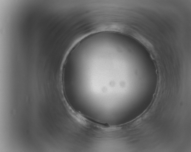 X0000069801200200605261714