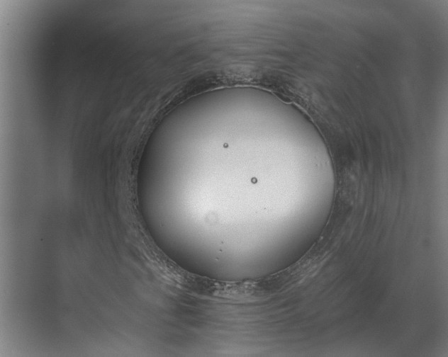 X0000069801201200605261714