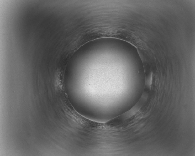 X0000069801202200605261714