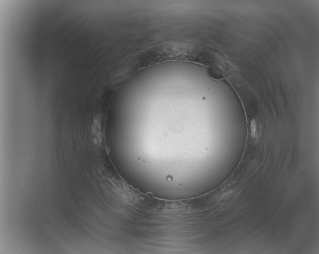 X0000069801203200605261714