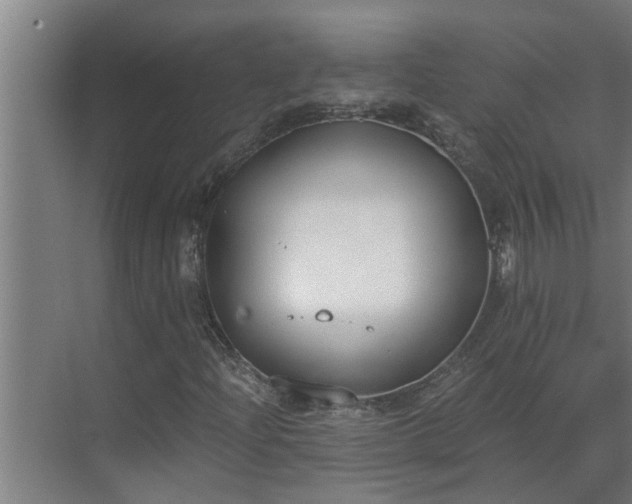 X0000069801204200605261714