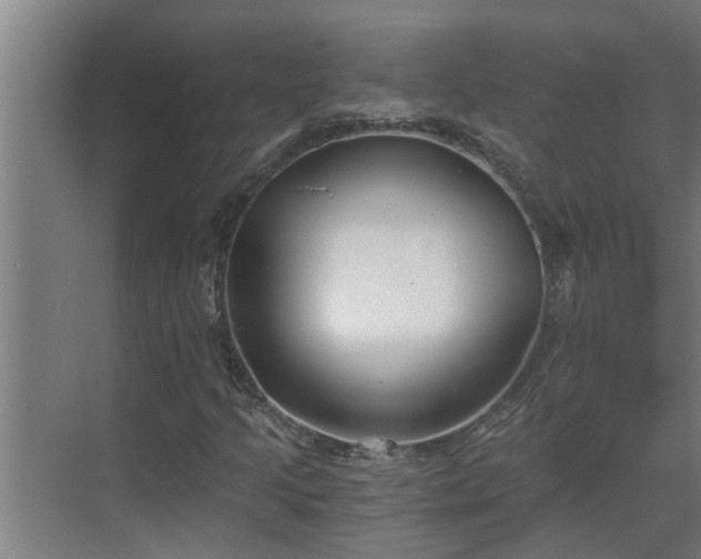 X0000069801205200605261714