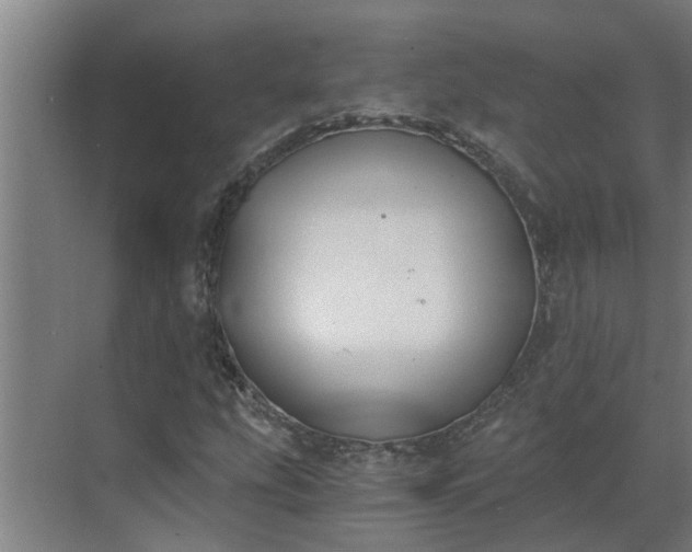 X0000069801207200605261714