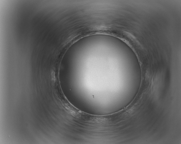 X0000069801209200605261714