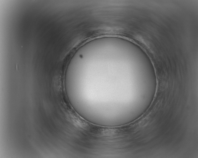 X0000069801211200605261714