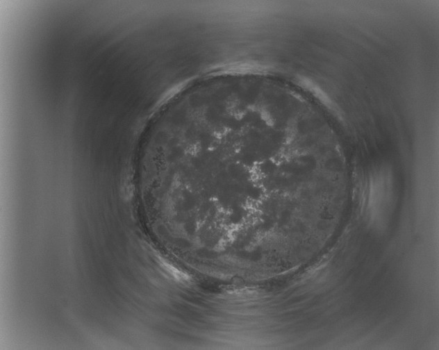 X0000069801213200605261714