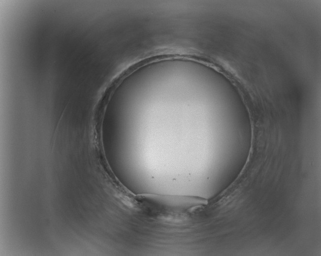 X0000069801215200605261714