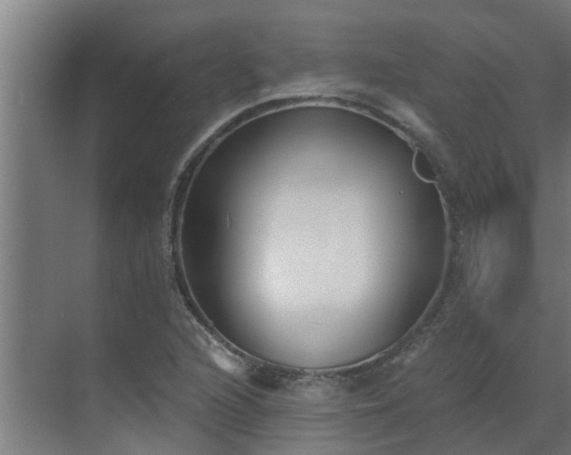 X0000069801216200605261714