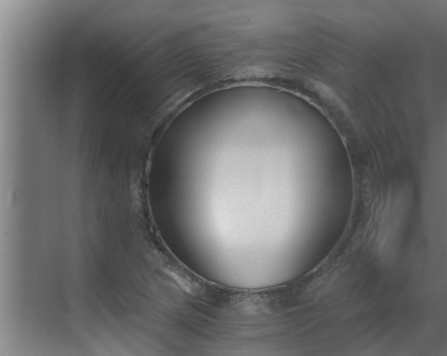 X0000069801217200605261714