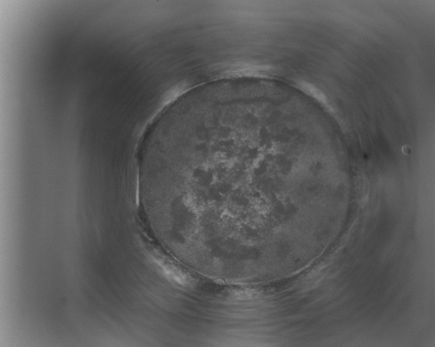 X0000069801219200605261714