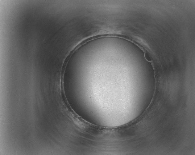 X0000069801220200605261714