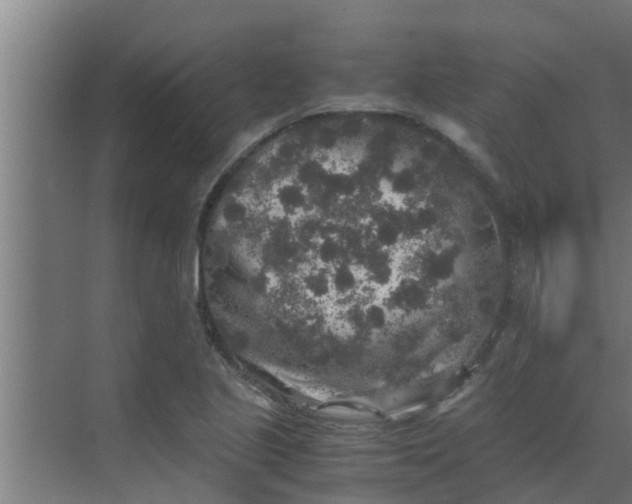 X0000069801221200605261714