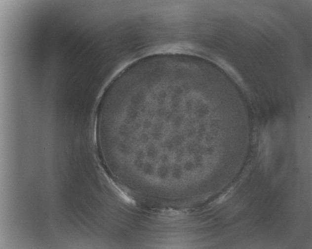 X0000069801224200605261714