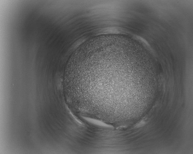 X0000069801225200605261714