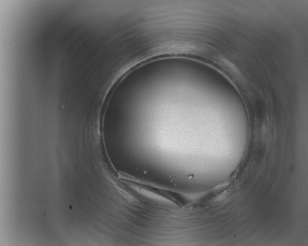 X0000069801226200605261714