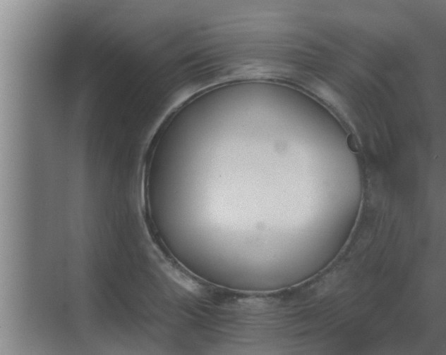 X0000069801227200605261714