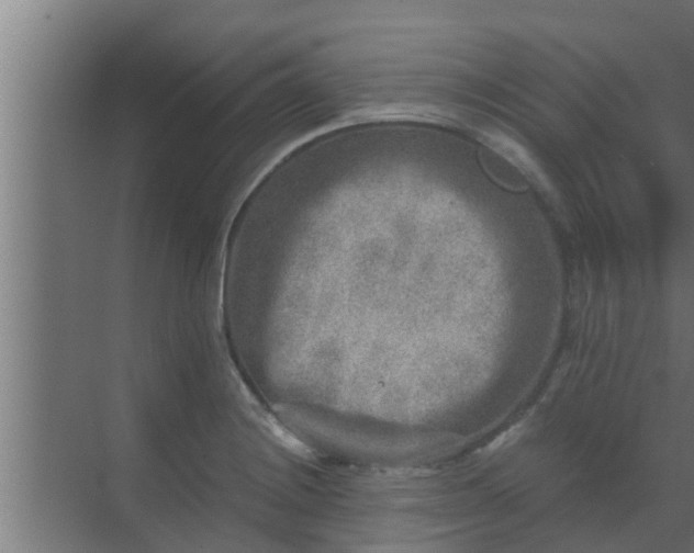 X0000069801228200605261714