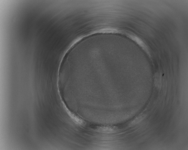 X0000069801229200605261714