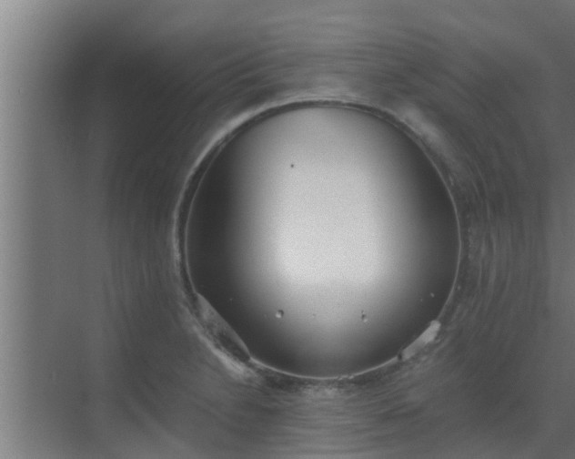 X0000069801230200605261714