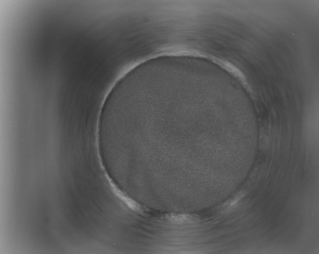 X0000069801231200605261714