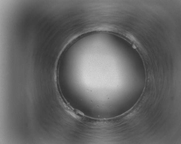 X0000069801232200605261714