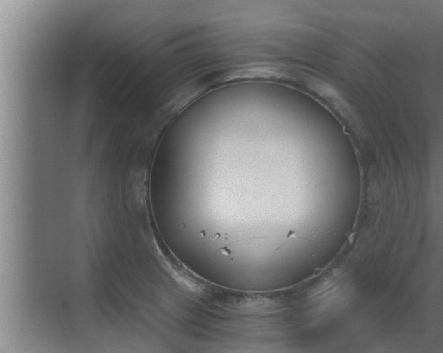 X0000069801233200605261714