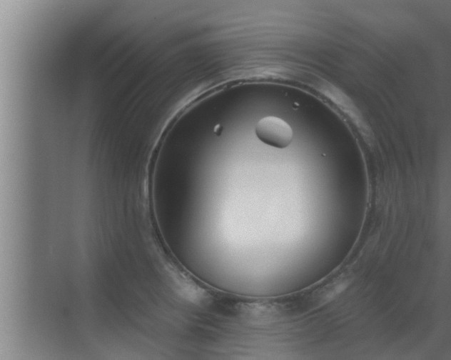 X0000069801234200605261714