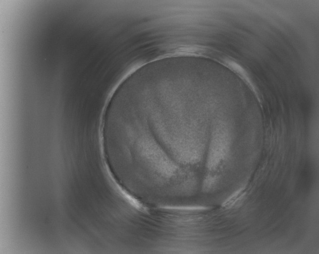 X0000069801235200605261714