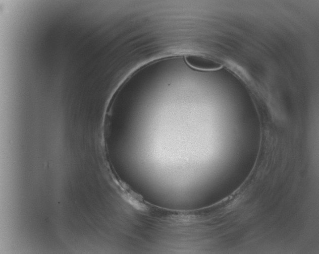 X0000069801236200605261714