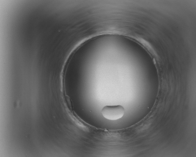 X0000069801238200605261714