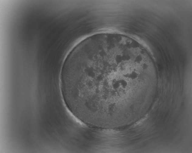 X0000069801239200605261714