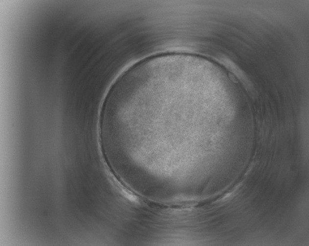 X0000069801240200605261714