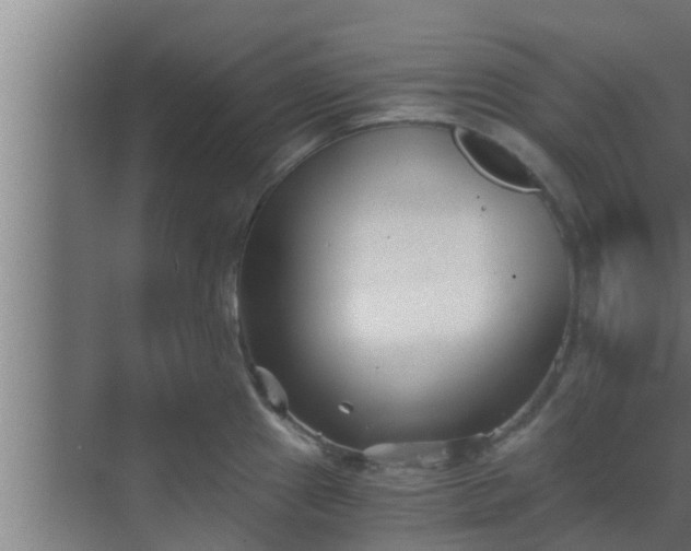 X0000069801241200605261714