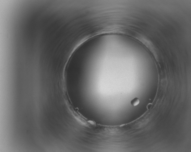 X0000069801242200605261714