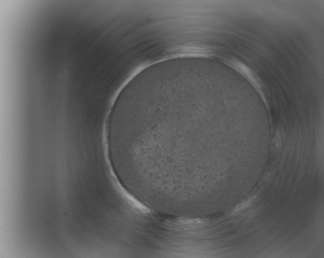 X0000069801243200605261714