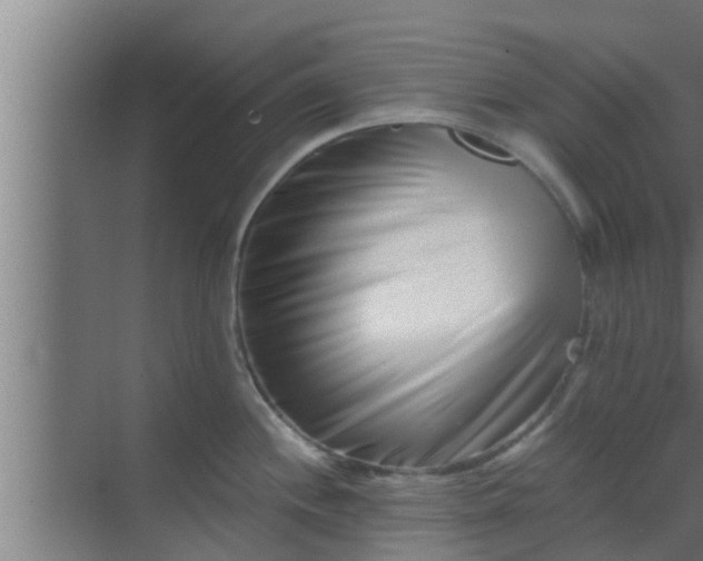 X0000069801244200605261714