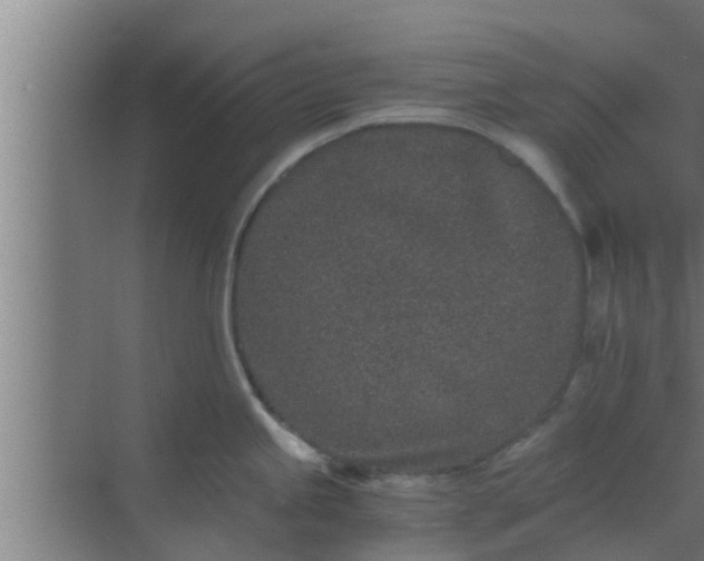 X0000069801245200605261714