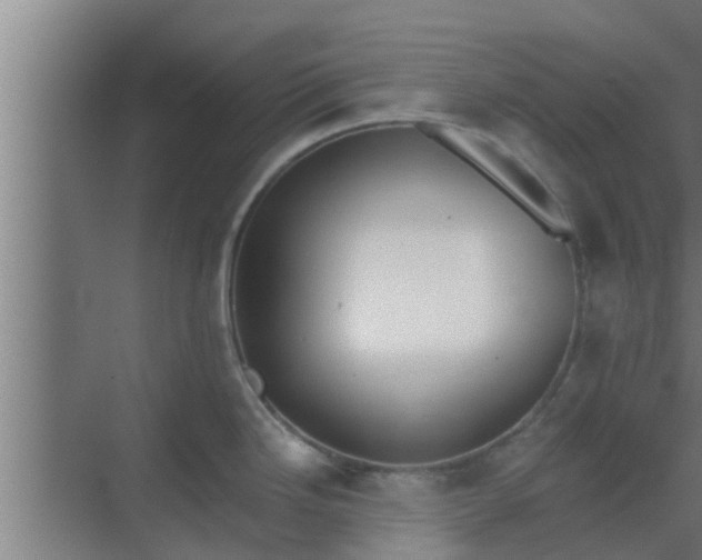 X0000069801246200605261714