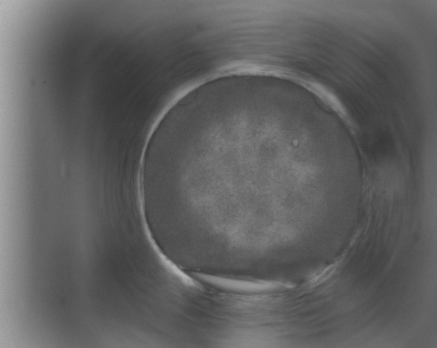 X0000069801247200605261714