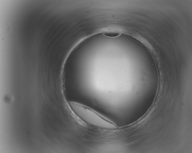 X0000069801248200605261714