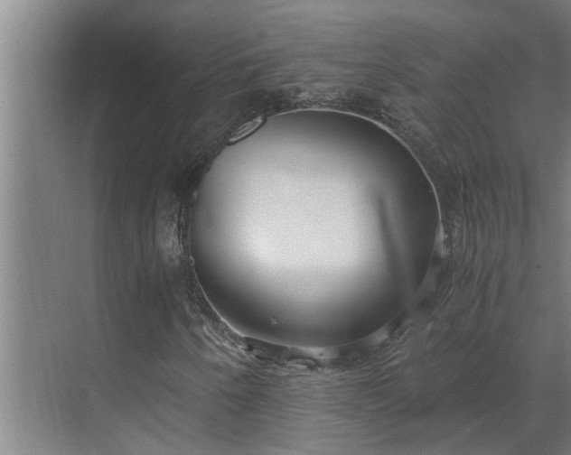 X0000069801250200605261714