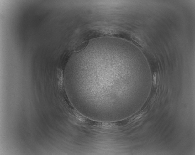 X0000069801251200605261713